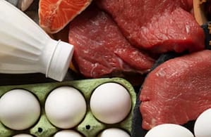 Recettes de cuisine Protéines