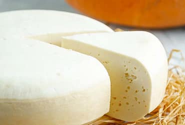 Queso